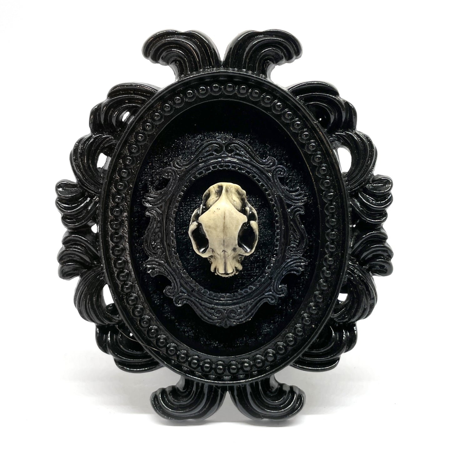 Small Black Resin Oval Frame with Small Resin Cat Skull on Black Velvet Gothic Home Deco