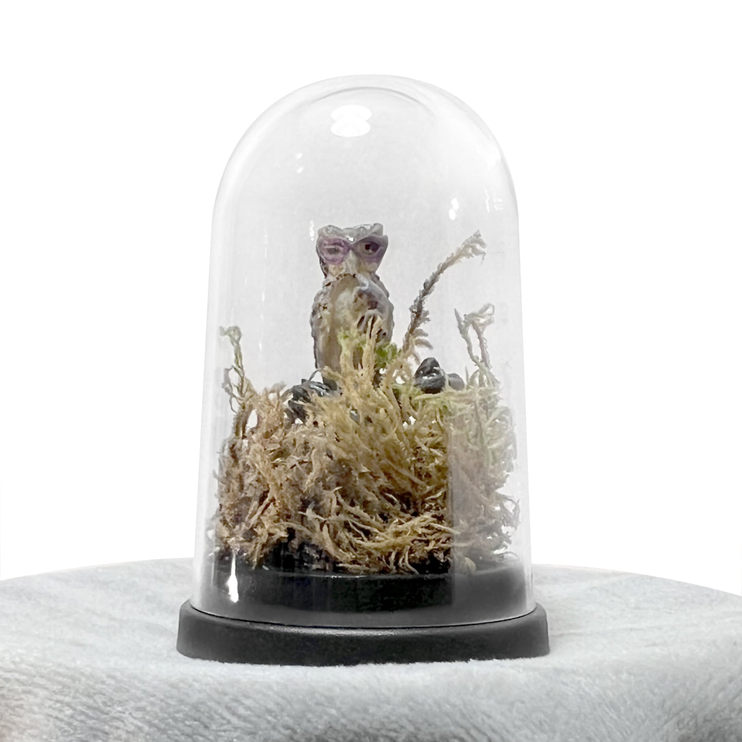 Masked Owl Bell Jar