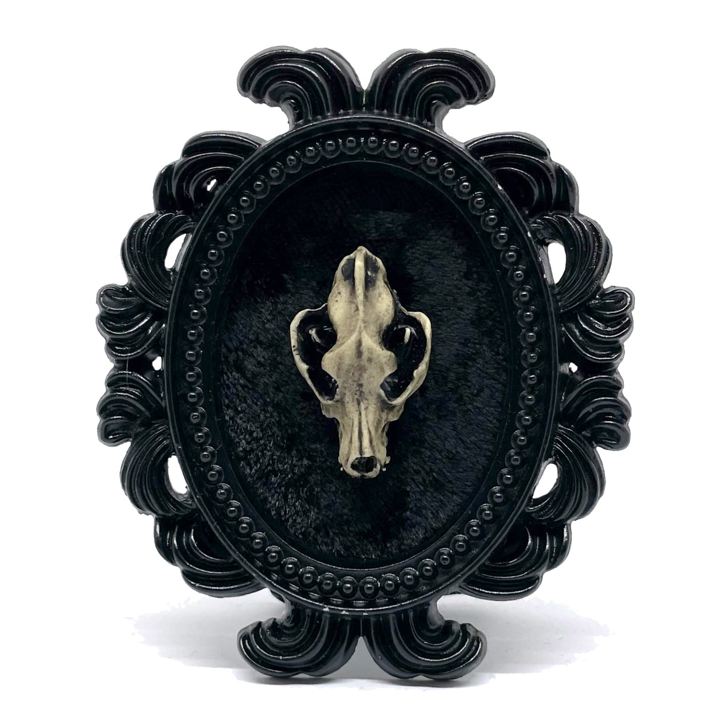 Small Black Resin Oval Frame with Resin Wolf Skull on Black Velvet Gothic Home Deco