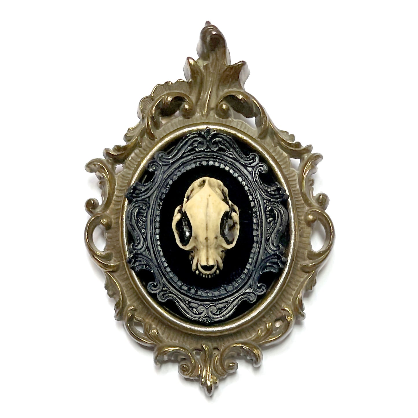 Small Cat Skull Antique Framed Gothic Home Deco