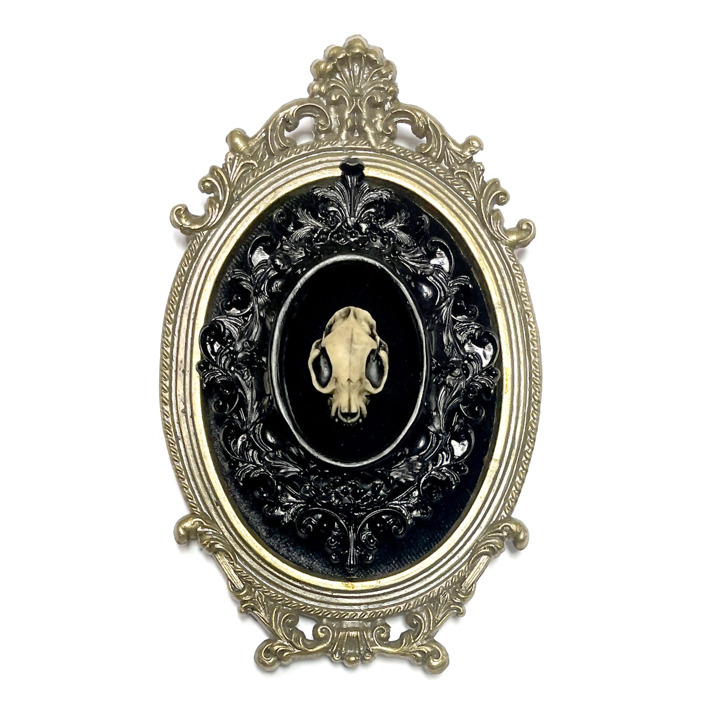 Small Cat Skull Antique Framed Gothic Home Deco
