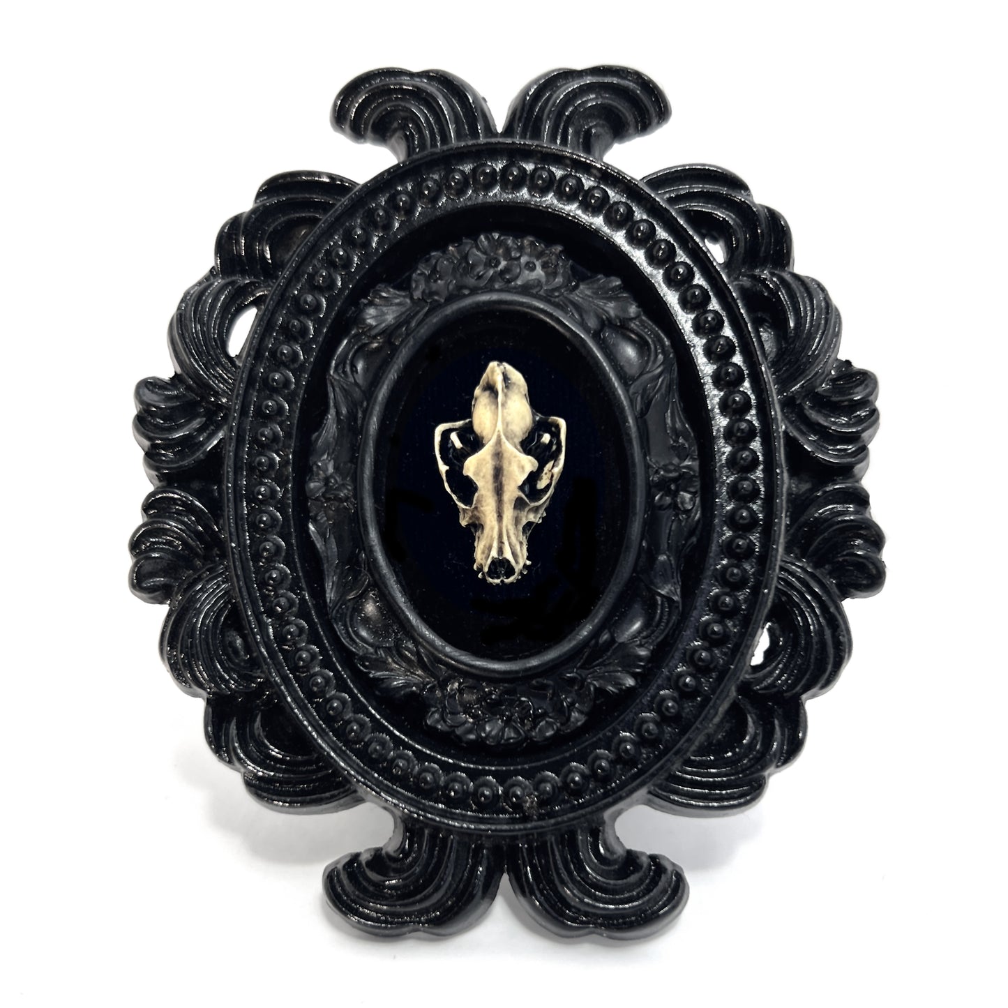 Small Black Resin Oval Frame with Resin Wolf Skull on Black Velvet Gothic Home Deco