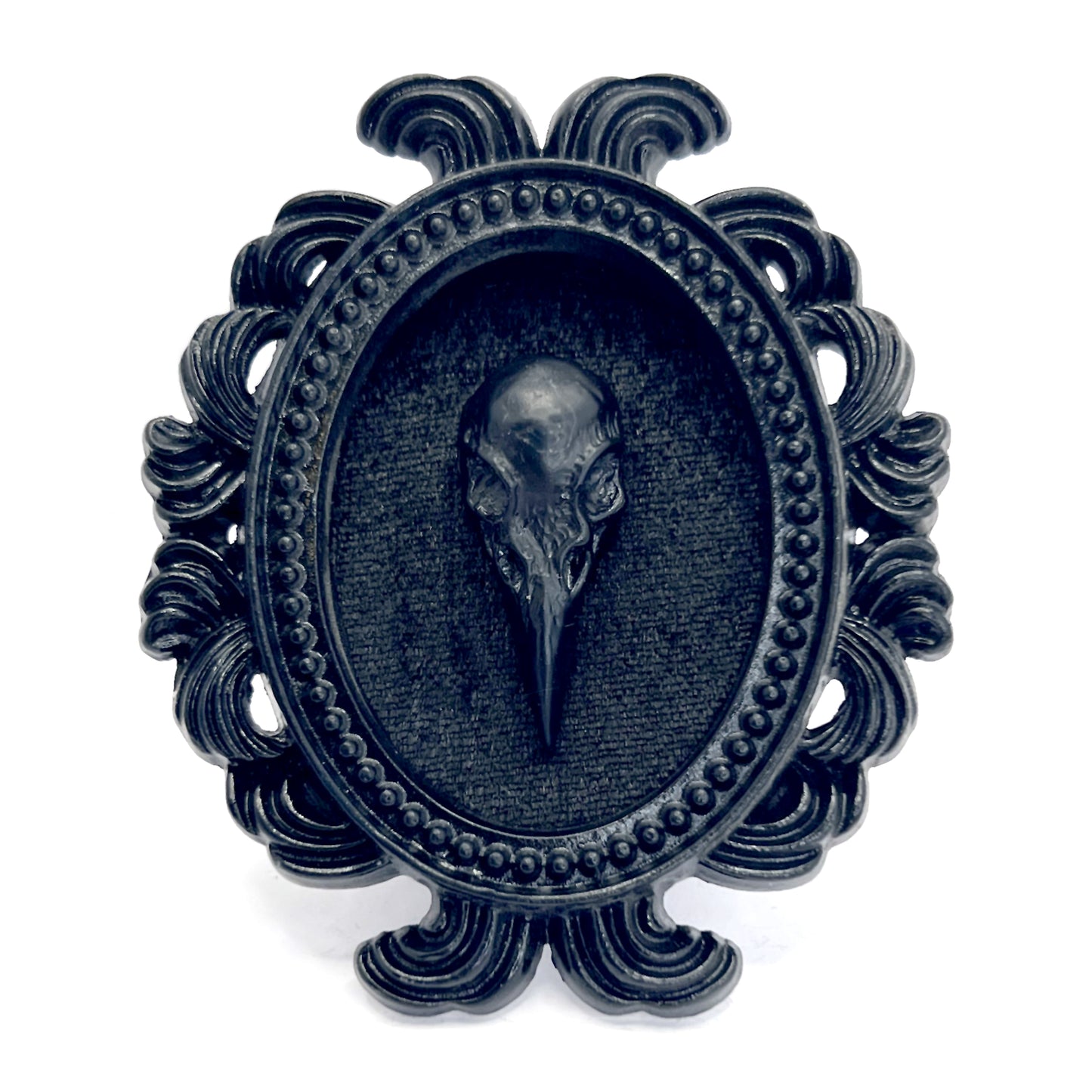 Small Black Resin Oval Frame with Black Bird Skull on Black Velvet Gothic Home Deco
