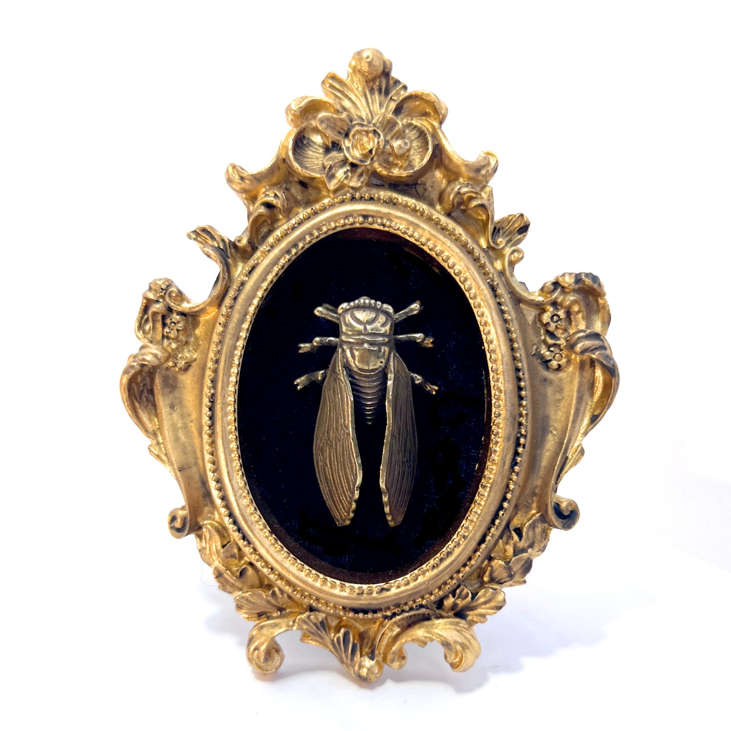Small Antiqued Gold Framed Fly on Black Velvet