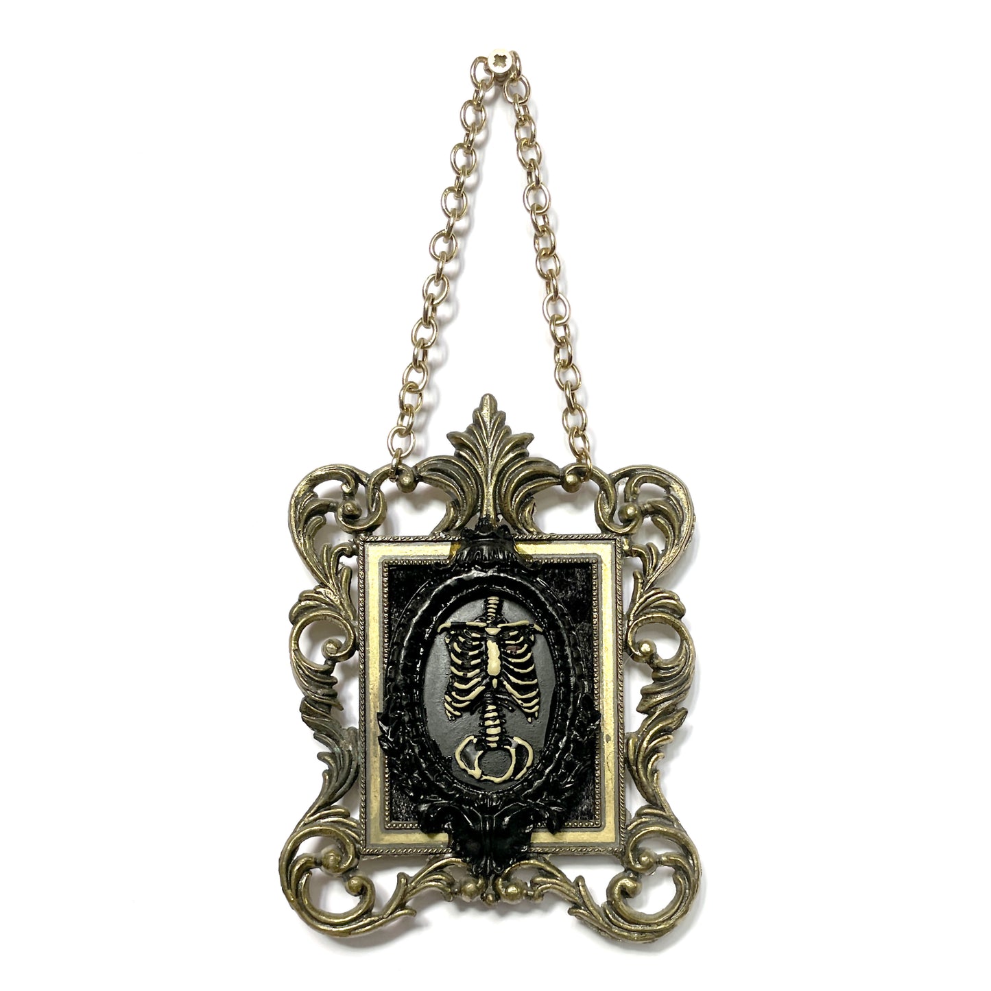 Skeleton Torso Square Antique Framed Gothic Home Deco