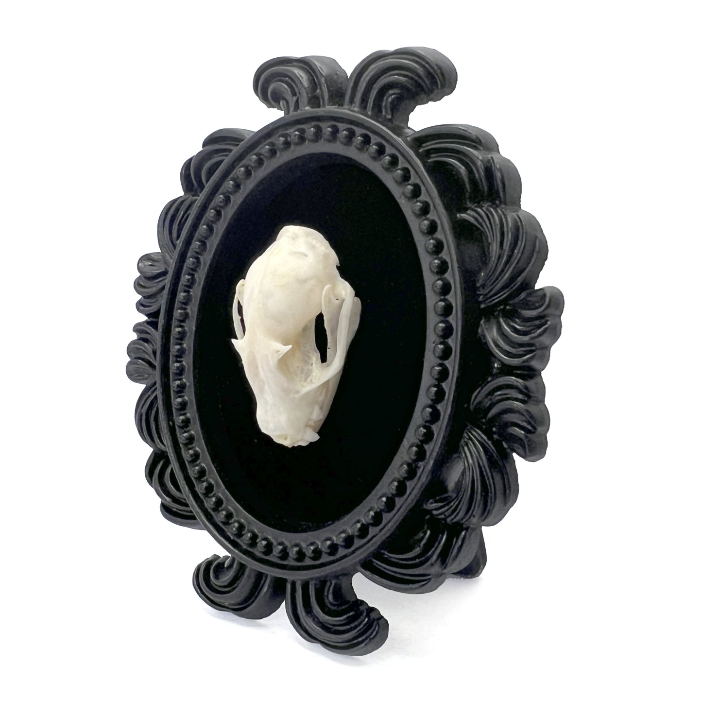 Small Black Resin Oval Frame with Bat Skull on Black Velvet Gothic Home Deco