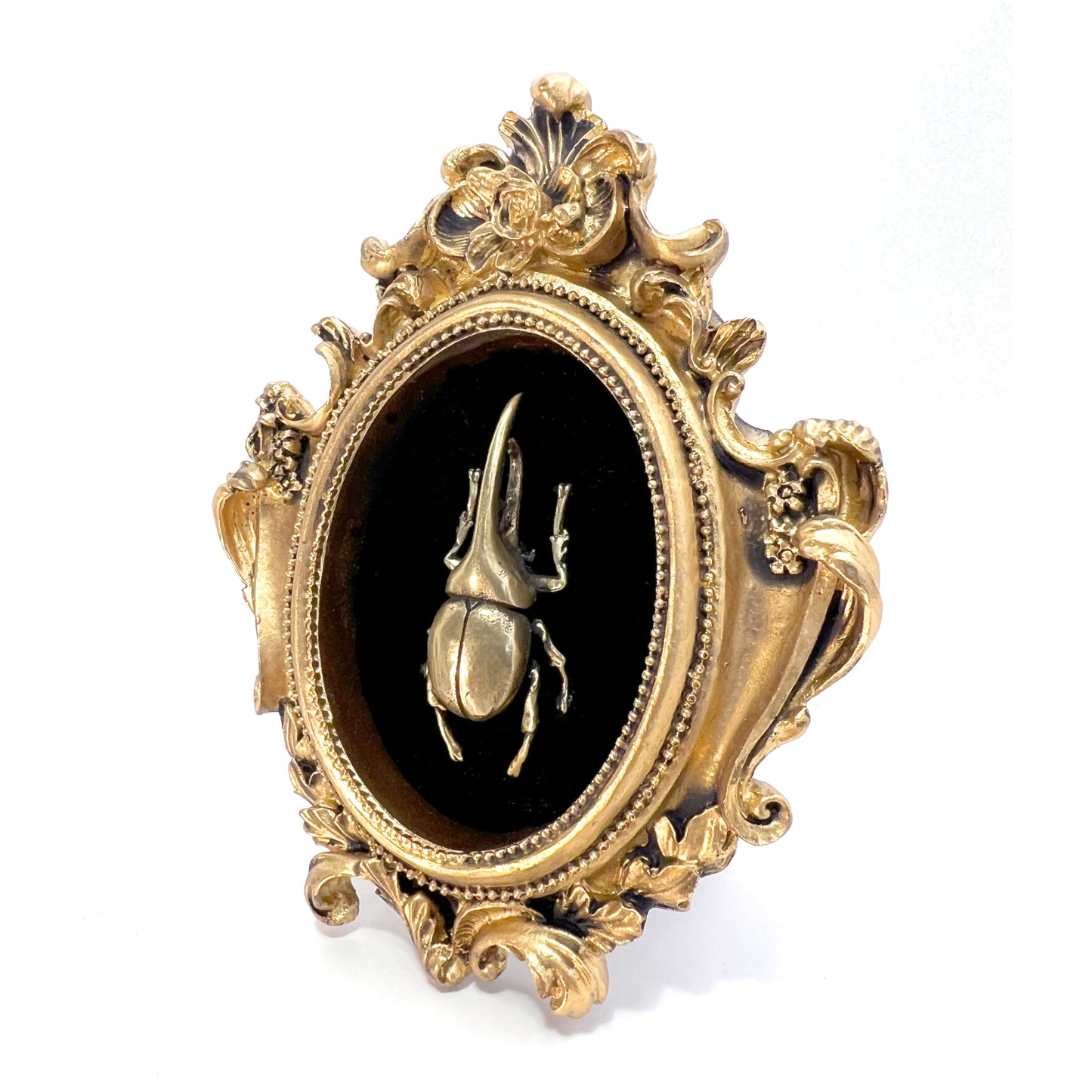 Small Antiqued Gold Framed Horned Brass Beetle on Black Velvet