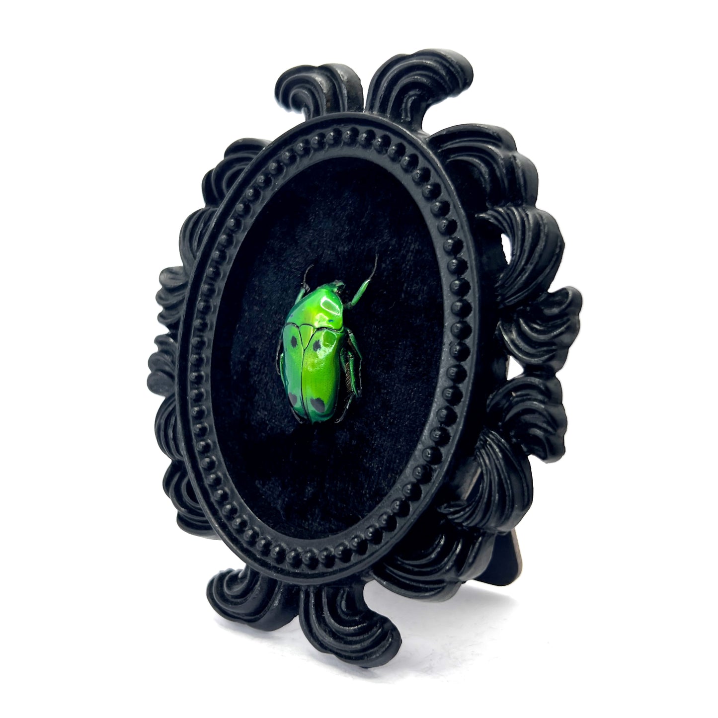 Small Black Resin Oval Frame with Green Beetle on Black Velvet Gothic Home Deco