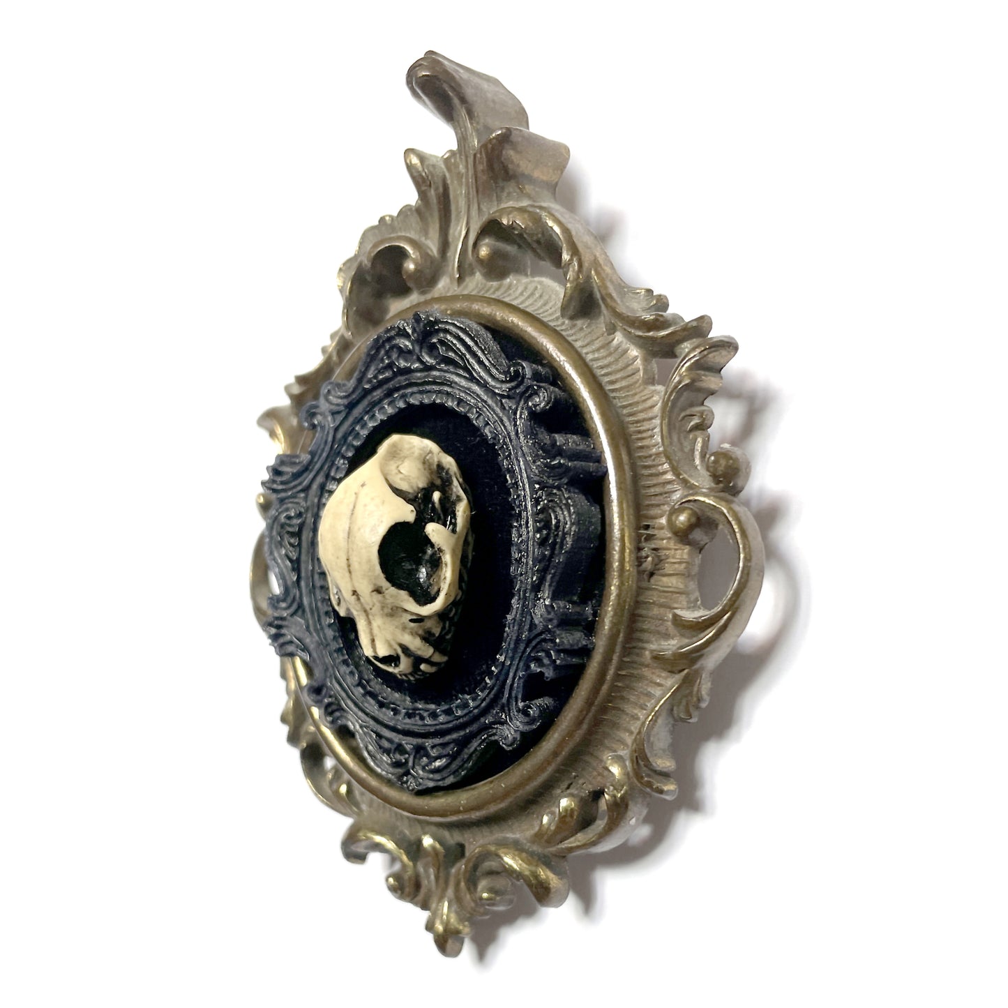 Small Cat Skull Antique Framed Gothic Home Deco