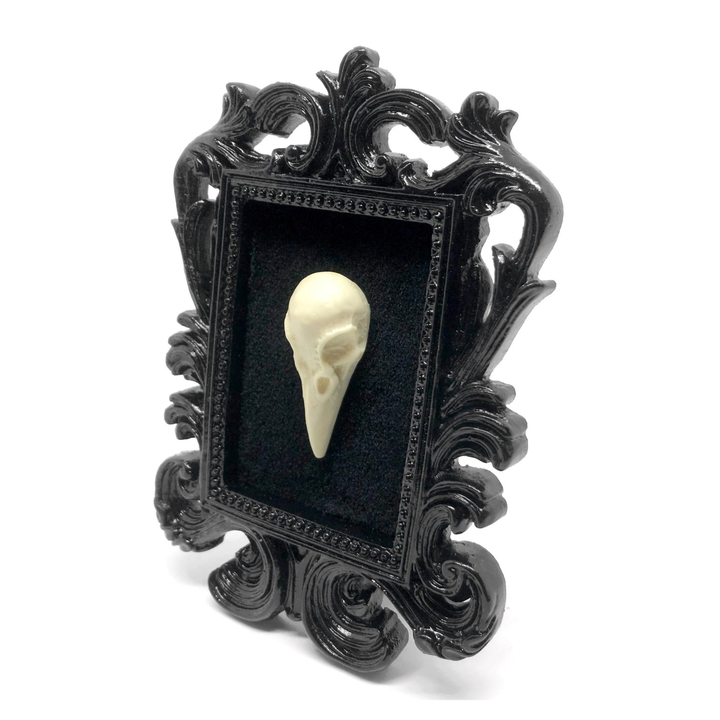 Small Black Resin Square Frame with Natural Bone Colored Resin Raven Skull on Black Velvet Gothic Home Deco