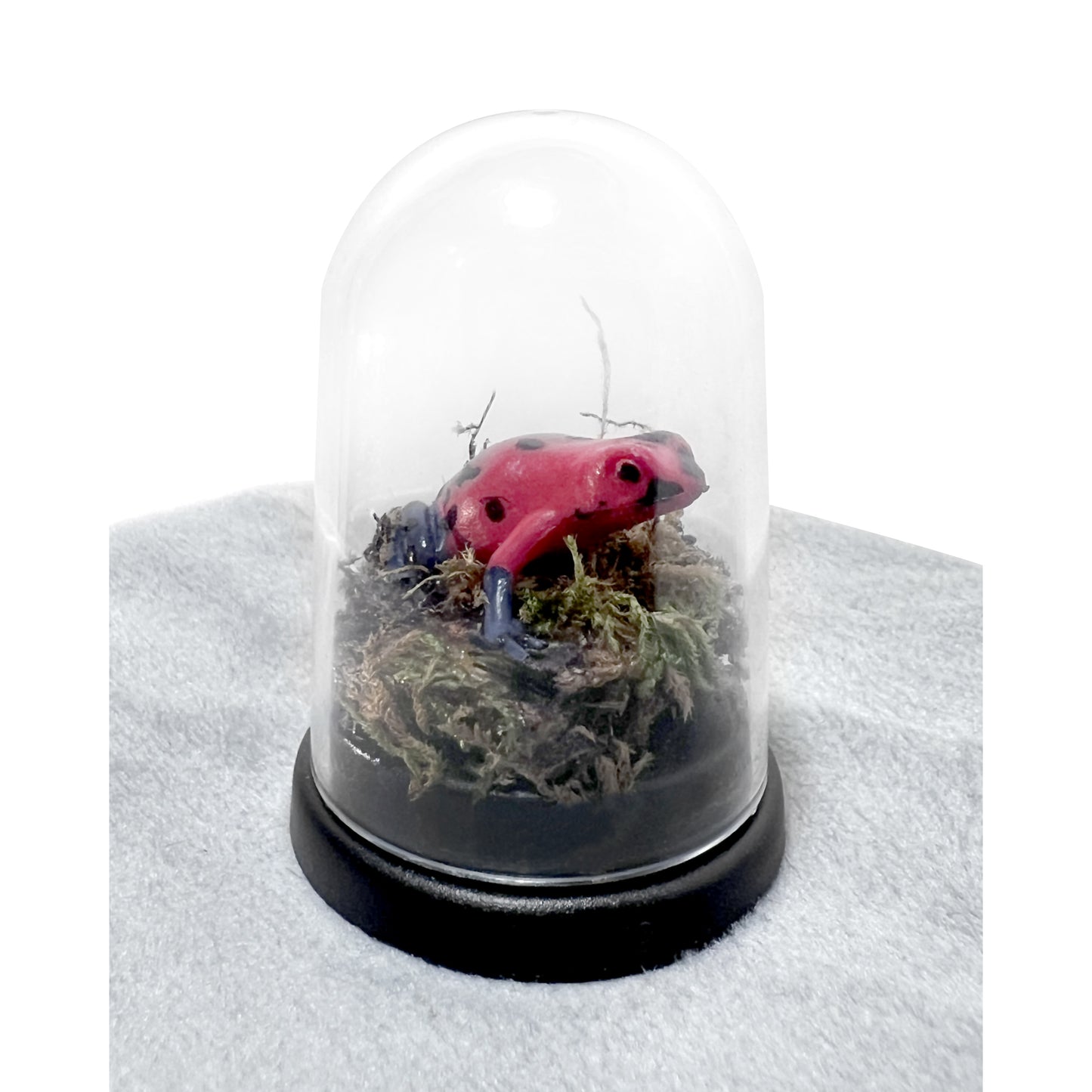 Tiny Red Frog Bell Jar