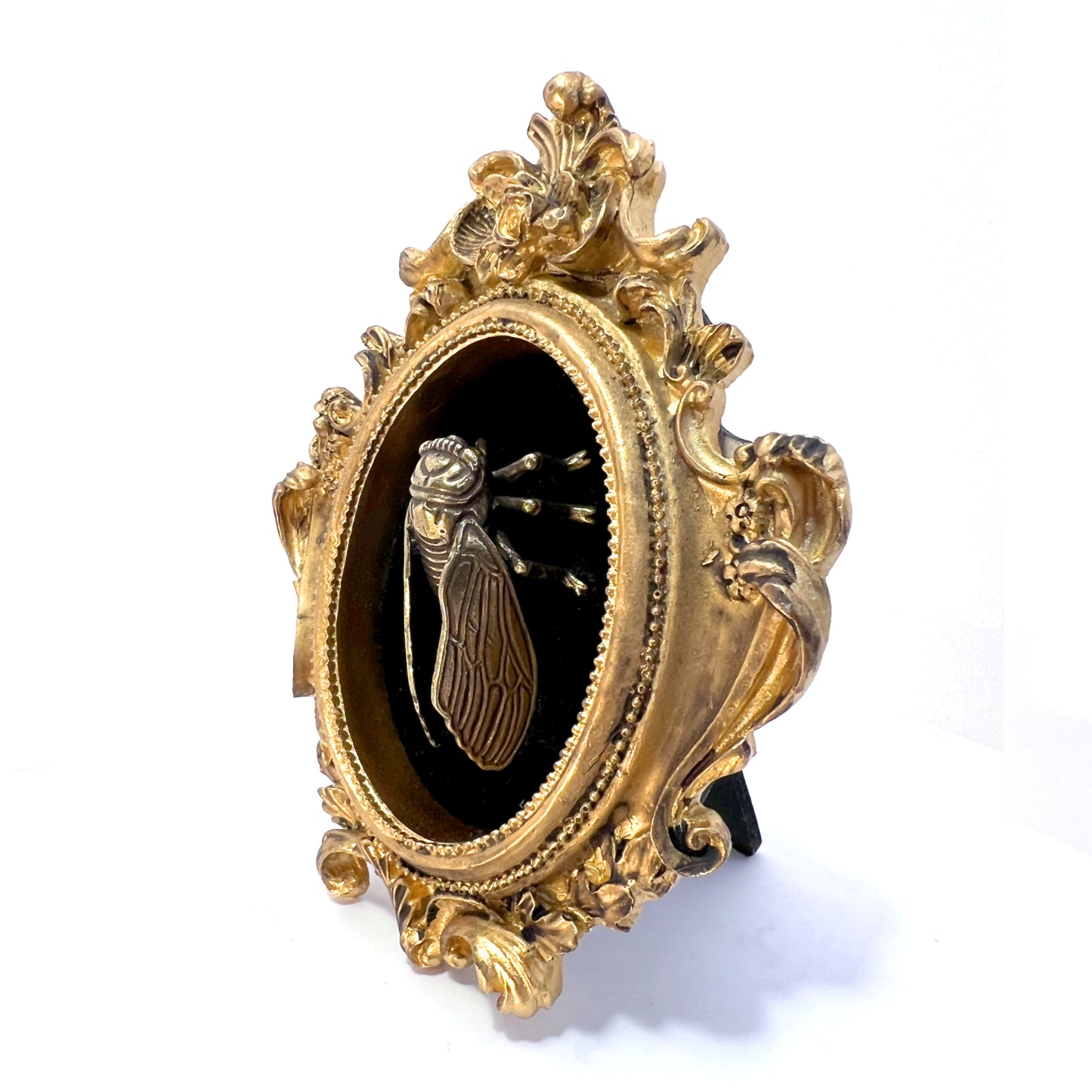 Small Antiqued Gold Framed Fly on Black Velvet