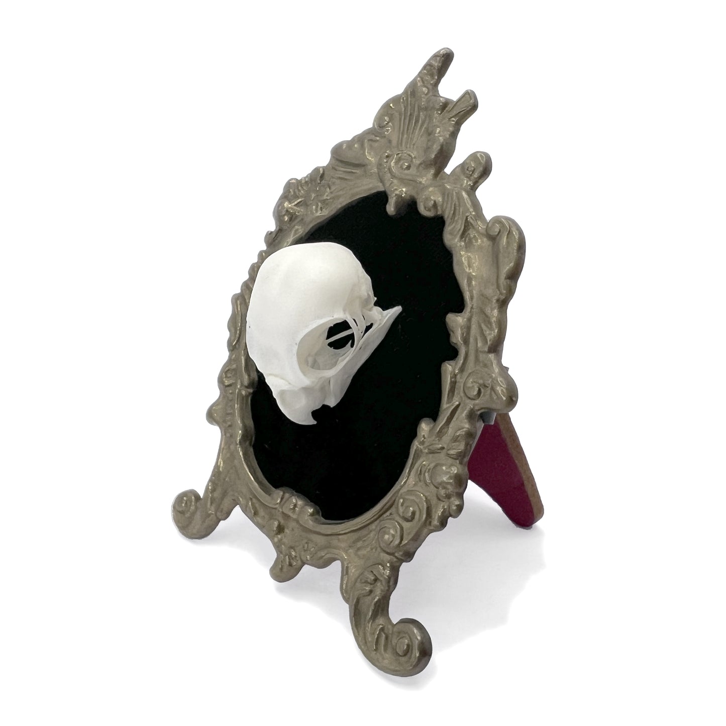 Small Bird Skull Standing Antique Framed Gothic Home Deco