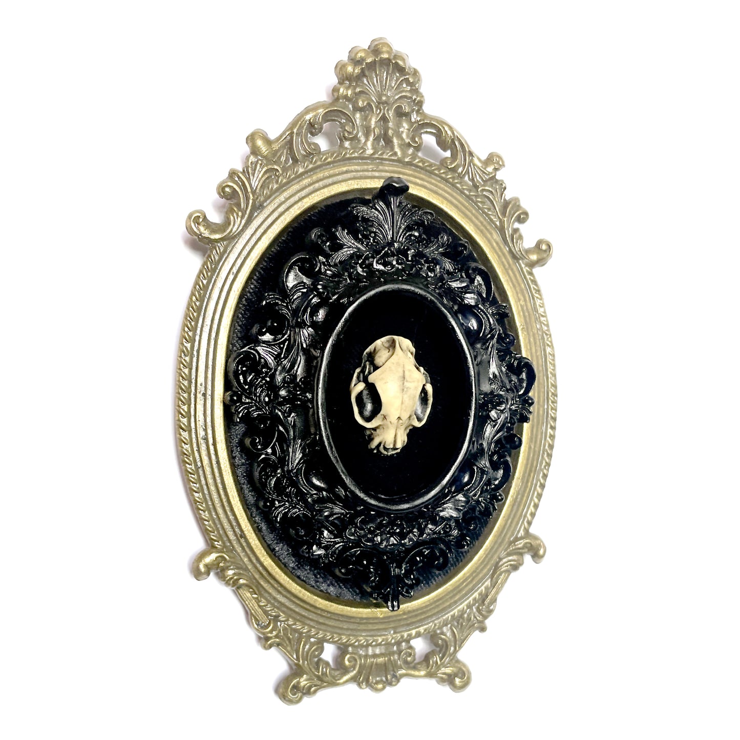 Small Cat Skull Antique Framed Gothic Home Deco