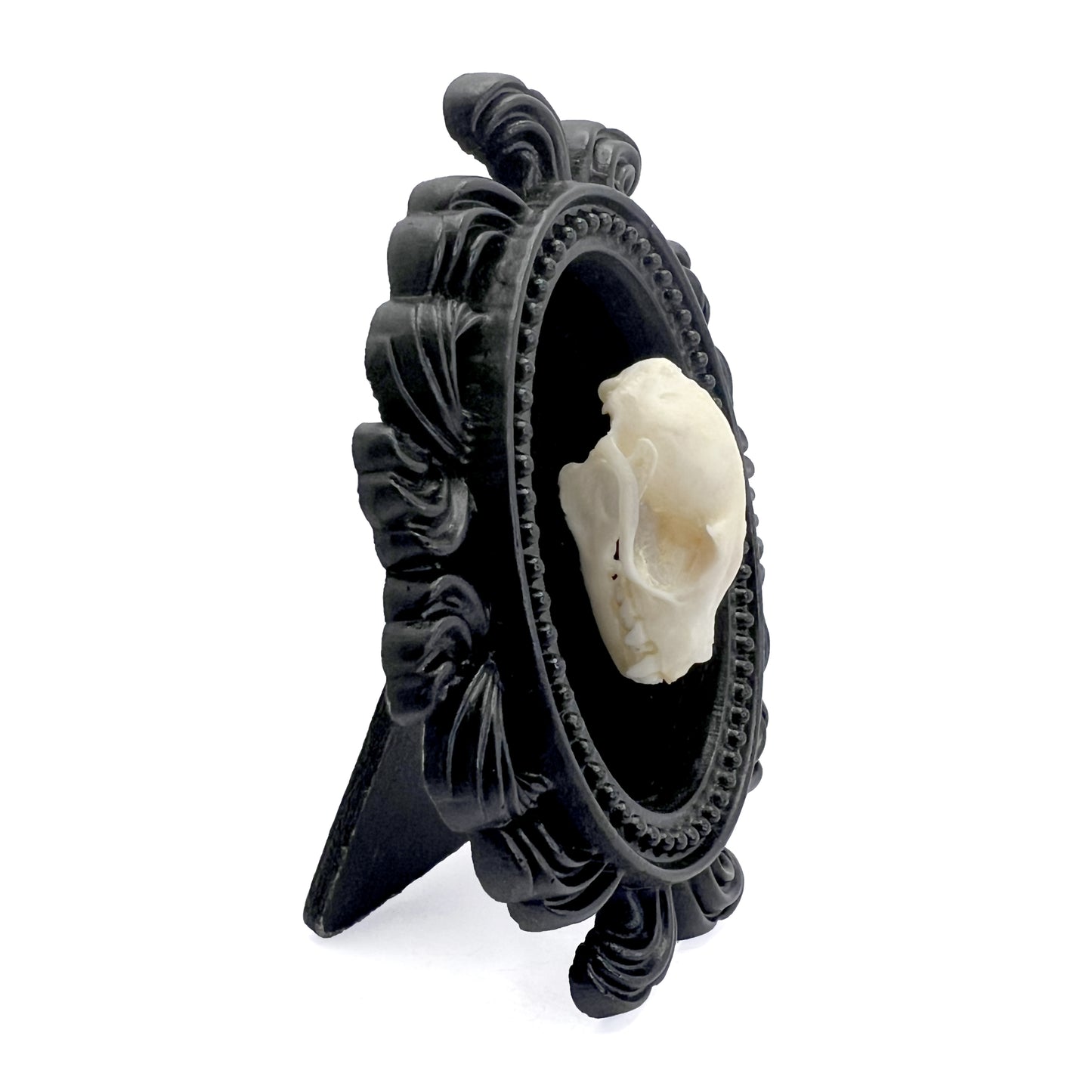 Small Black Resin Oval Frame with Bat Skull on Black Velvet Gothic Home Deco