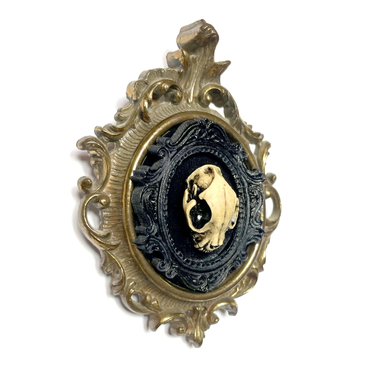 Small Cat Skull Antique Framed Gothic Home Deco