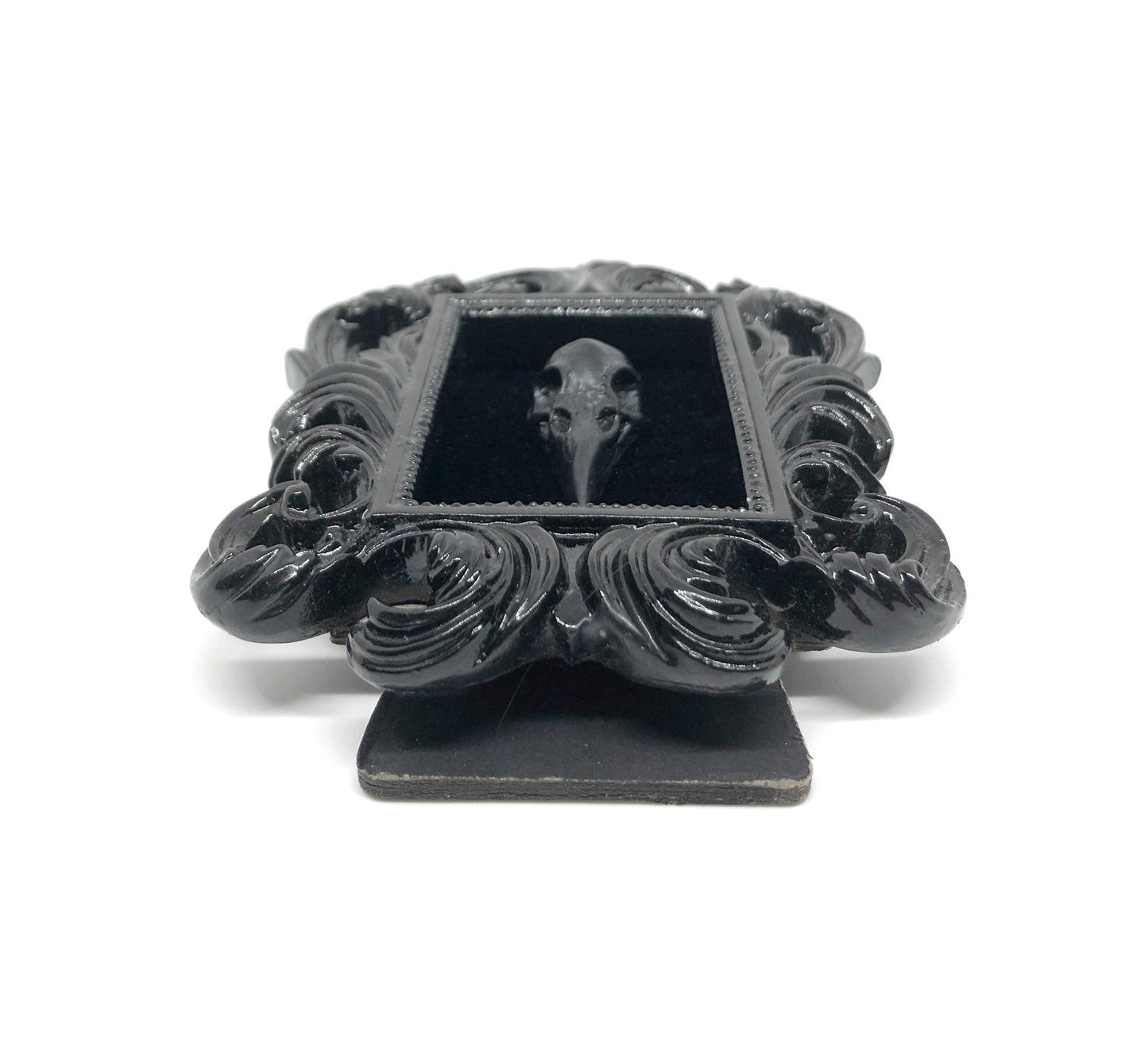 Small Black Resin Square Frame with Black Resin Bird Skull on Black Velvet Gothic Home Deco