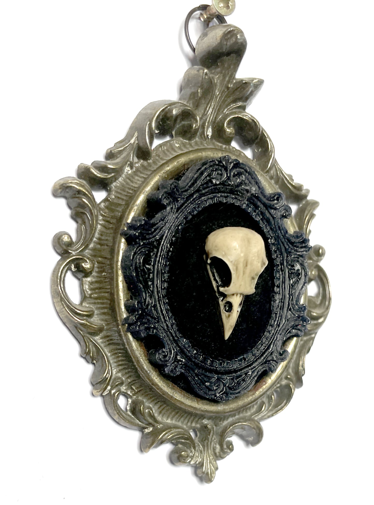 Small Bird Skull on Black Velvet Antique Framed Gothic Home Deco