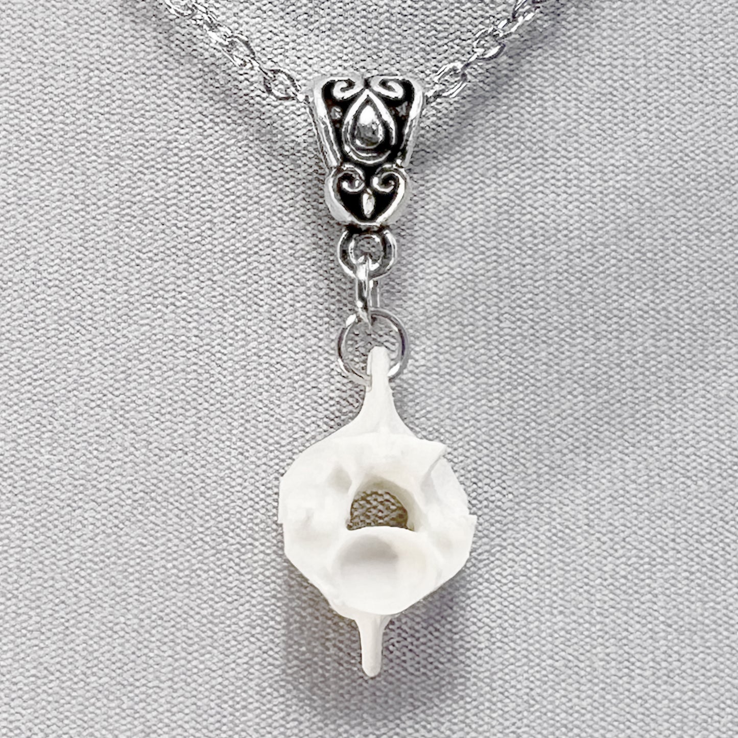 Small Spine Bone Necklace