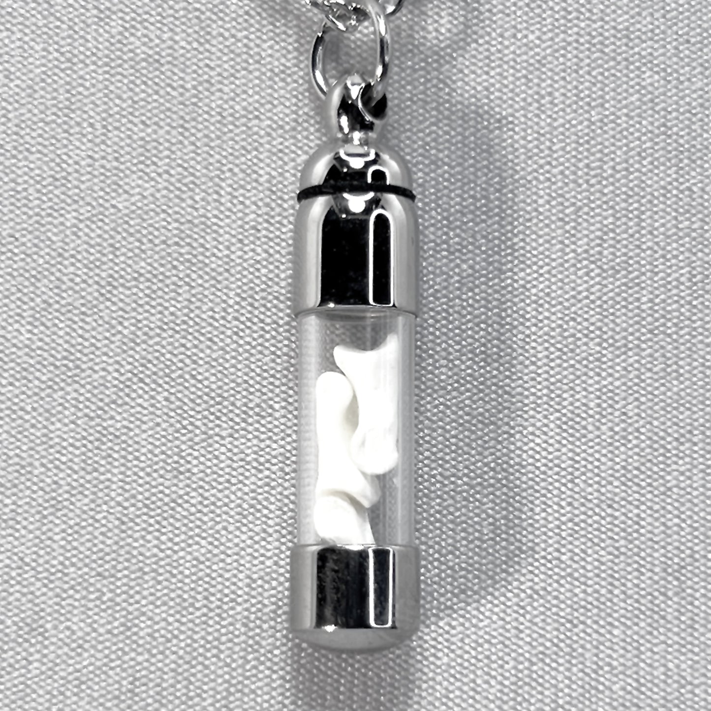 Tiny Silver Glass Vial Filled with Little Bones