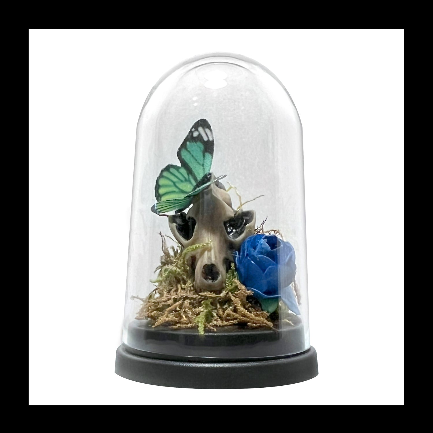 Bell Jars