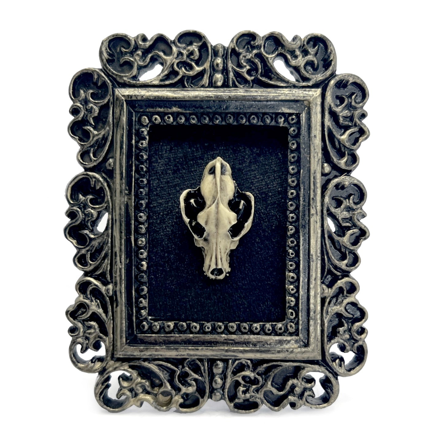 Small Black Gilded Resin Square Frame with Wolf Skull on Black Velvet Gothic Home Deco