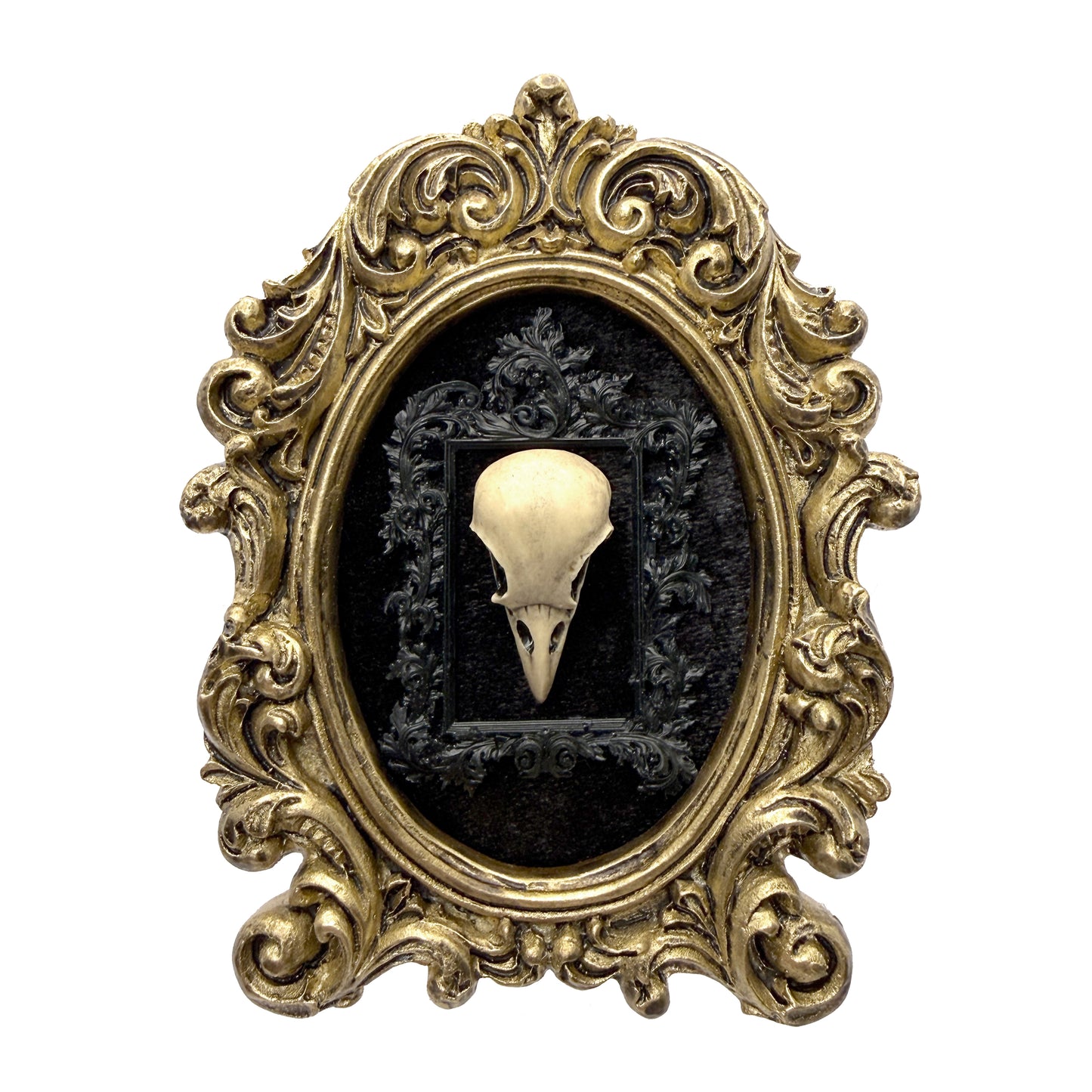 Small Aged Gold Frame with Antiqued Resin Bird Skull on Black Velvet Gothic Home Deco