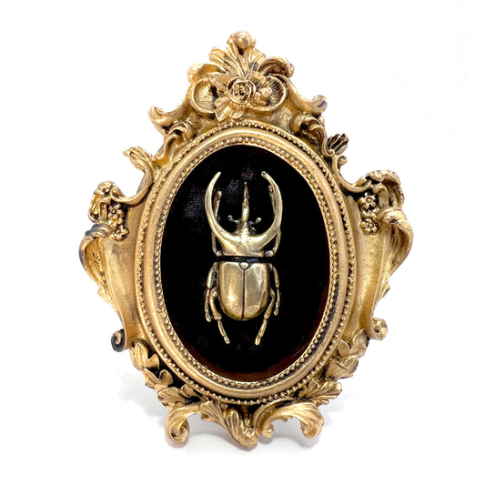 Small Antiqued Gold Framed Horned Brass Beetle on Black Velvet