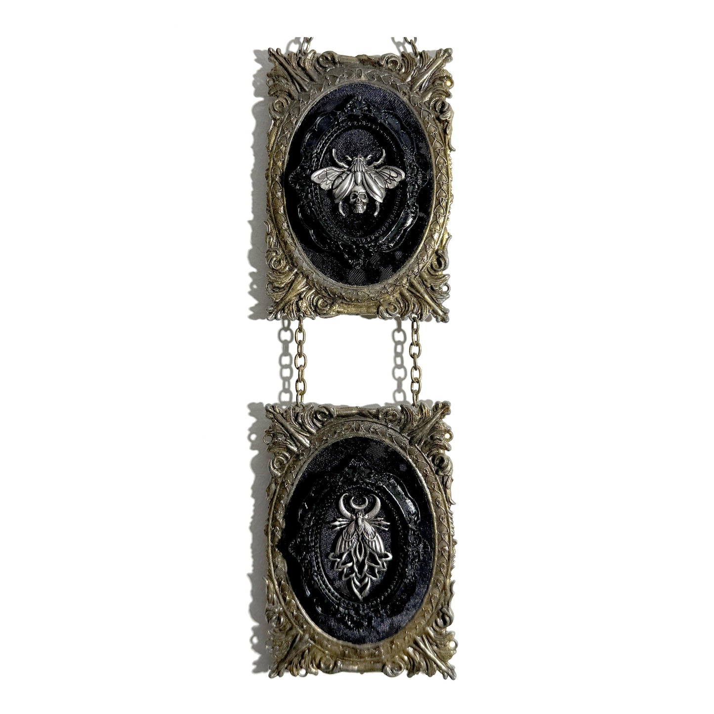 Two Winged Insects Double Antique Framed Home Deco