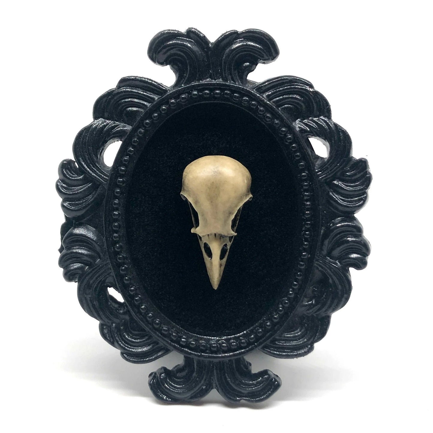 Small Black Resin Oval Frame with Resin Bird Skull on Black Velvet Gothic Home Deco