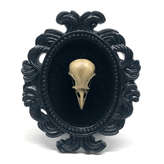 Small Black Resin Oval Frame with Resin Bird Skull on Black Velvet Gothic Home Deco