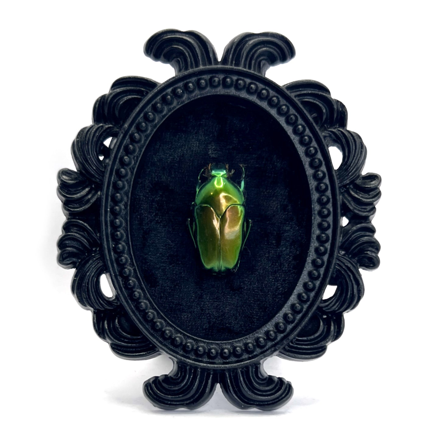 Small Black Resin Oval Frame with Green Beetle on Black Velvet Gothic Home Deco