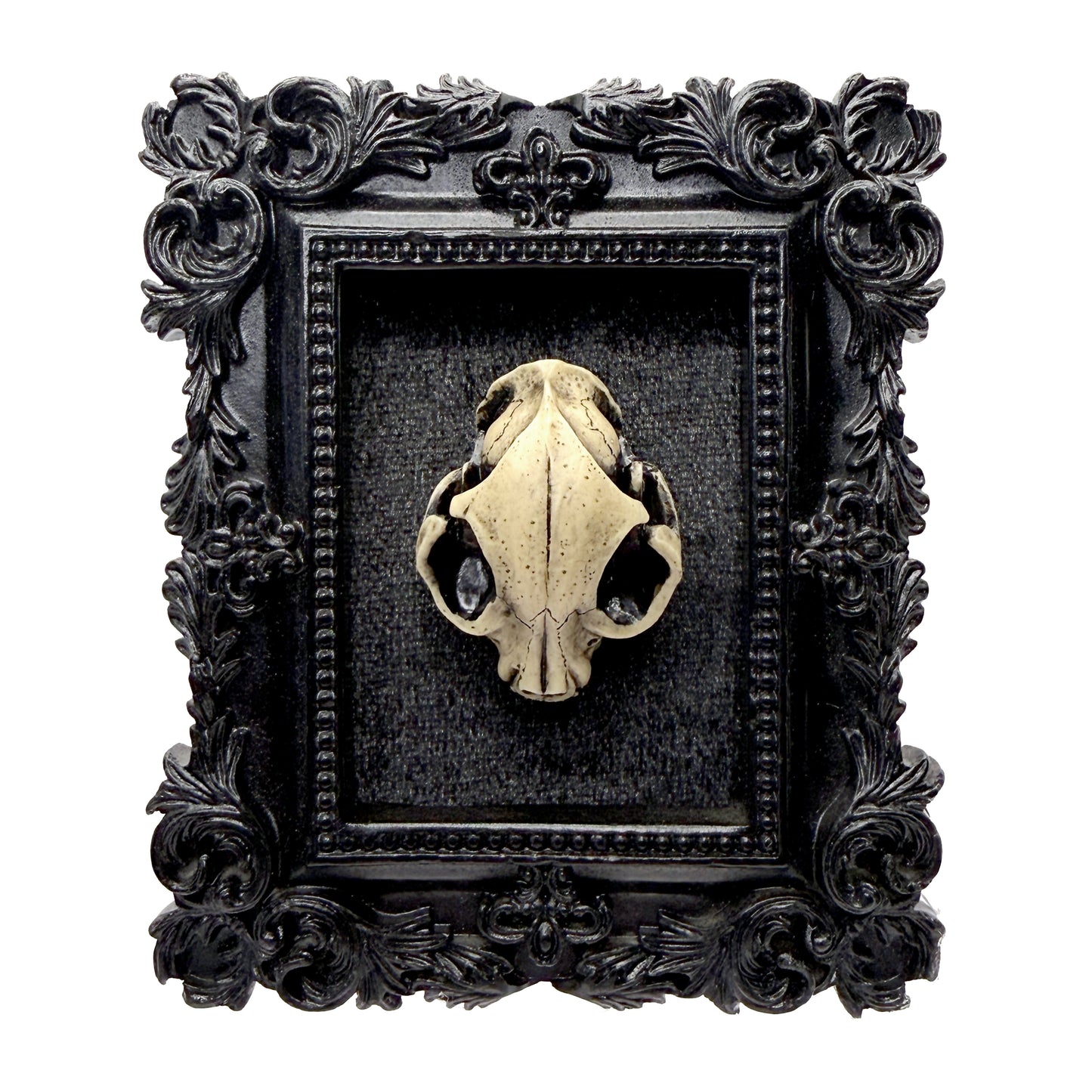 Small Black Frame with Antiqued Resin Cat Skull on Black Velvet Gothic Home Deco