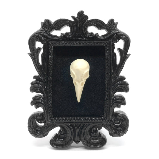 Small Black Resin Square Frame with Natural Bone Colored Resin Raven Skull on Black Velvet Gothic Home Deco