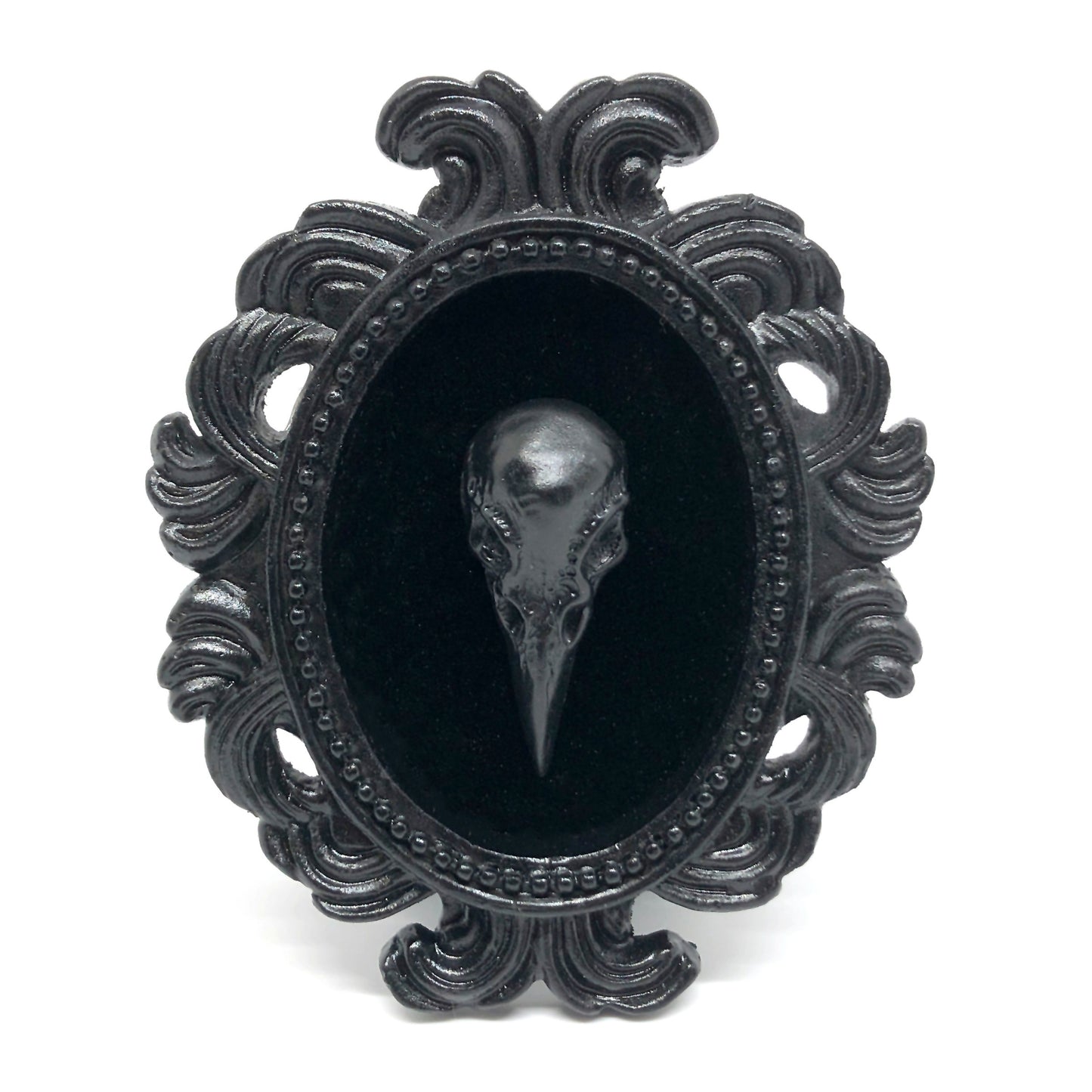 Small Black Resin Oval Frame with Black Resin Bird Skull on Black Velvet Gothic Home Deco