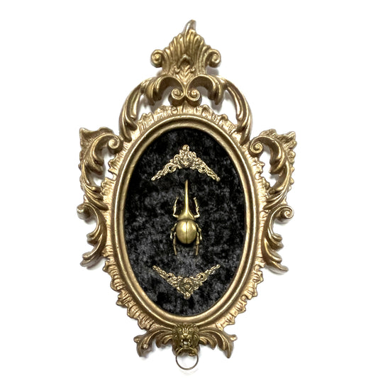 Brass Beetle on Black Velvet Antique Framed Gothic Home Deco