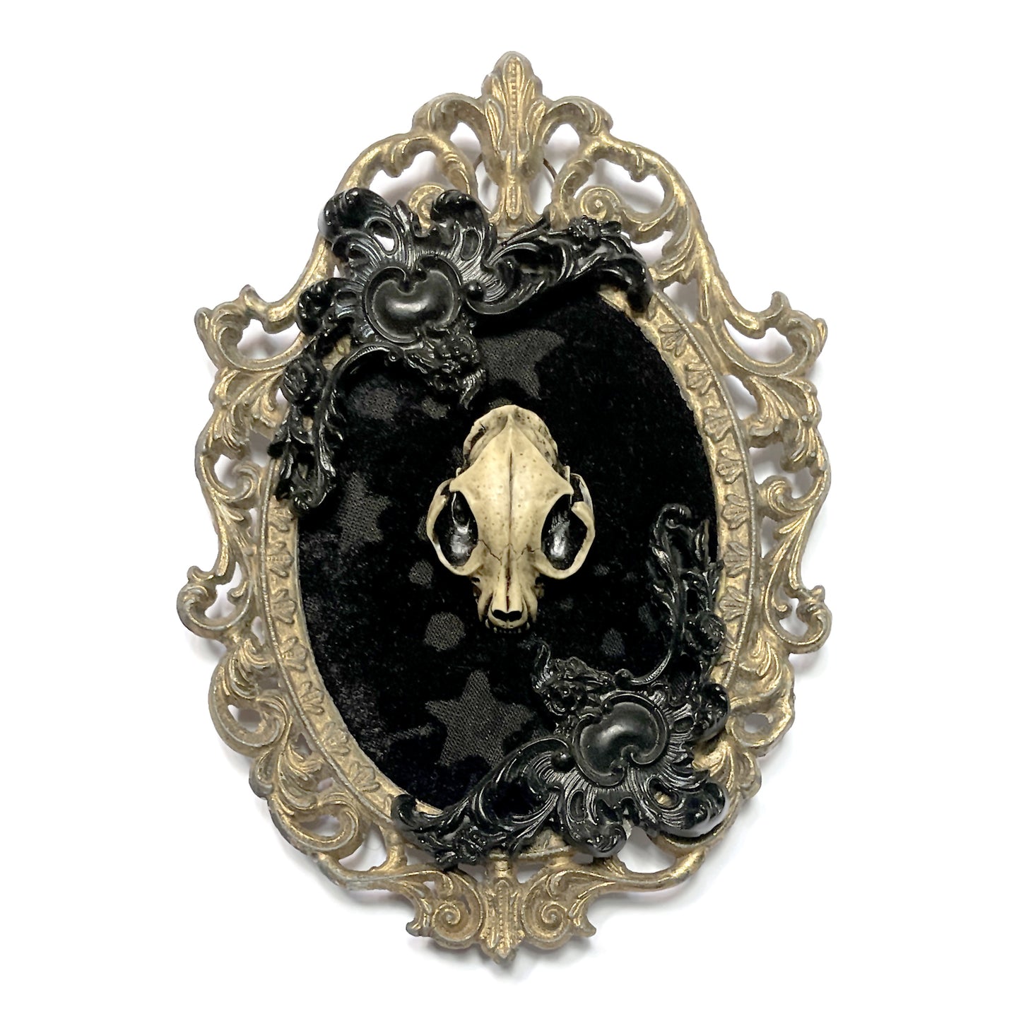 Cat Skull on Black Velvet Antique Framed Gothic Home Deco