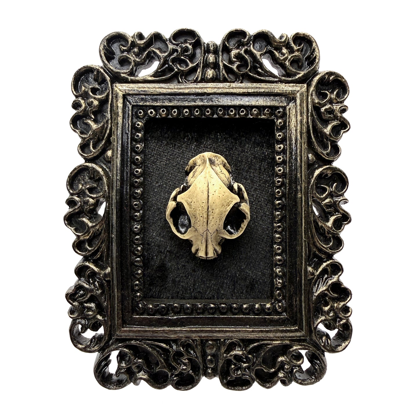Small Black Gilded Frame with Antiqued Resin Cat Skull on Black Velvet Gothic Home Deco