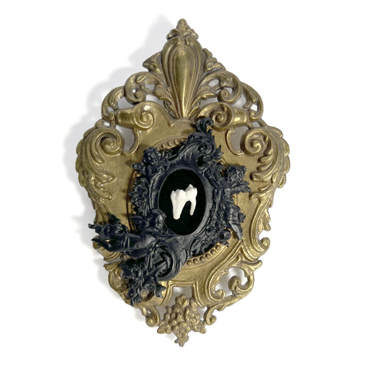 Fox Tooth on Black Velvet Antique Framed Home Deco