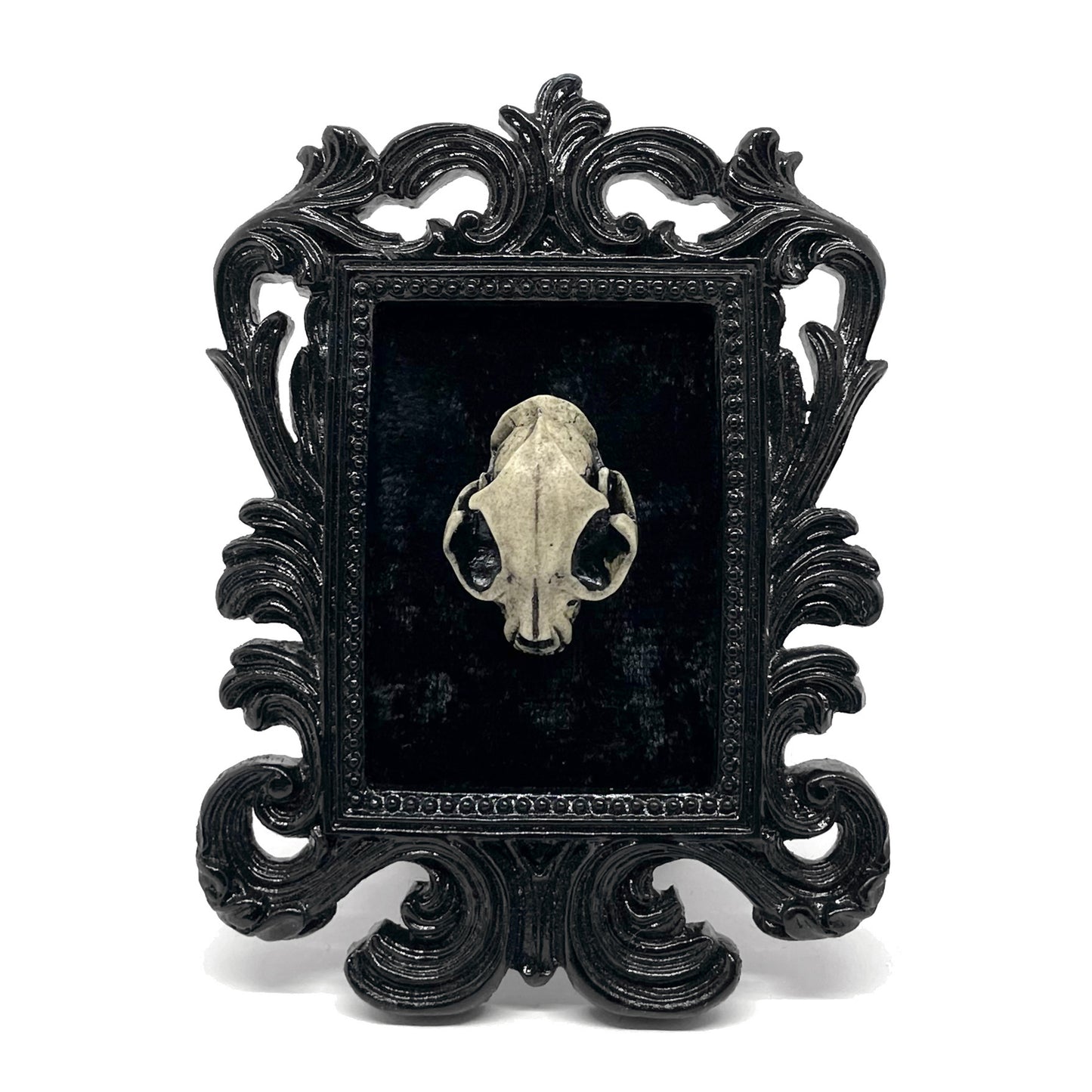 Small Black Resin Square Frame with Resin Cat Skull on Black Velvet Gothic Home Deco