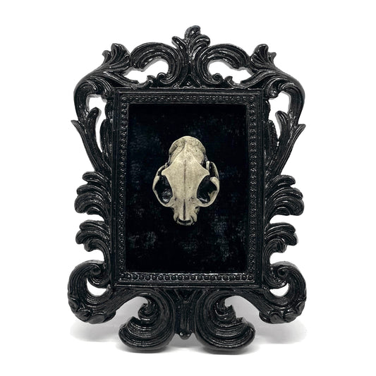 Small Black Resin Square Frame with Resin Cat Skull on Black Velvet Gothic Home Deco