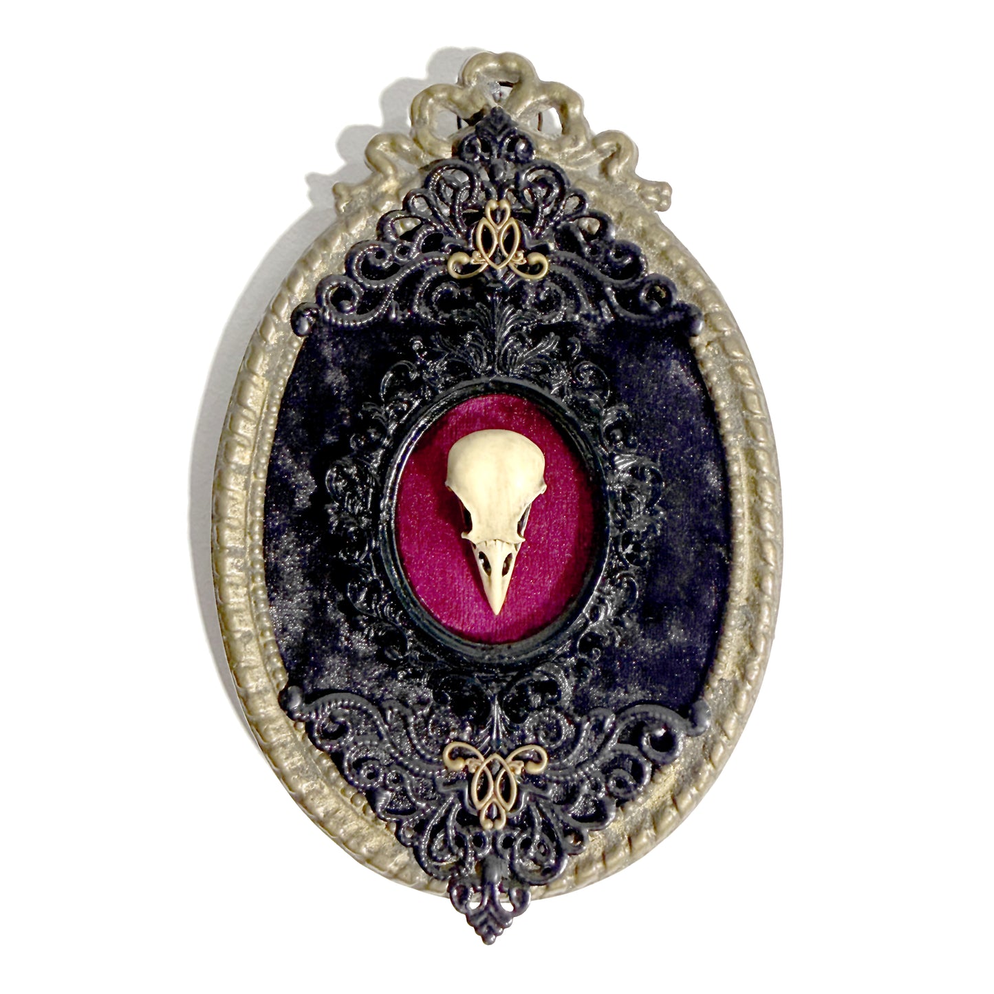 Resin Bird Skull on Burgundy and Black Velvet Antique Framed Home Deco