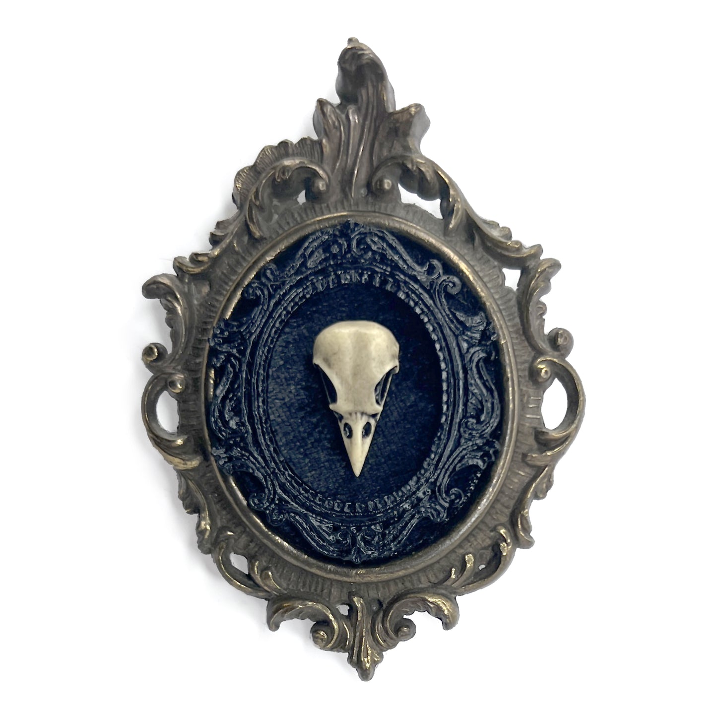 Small Bird Skull on Black Velvet Antique Framed Gothic Home Deco