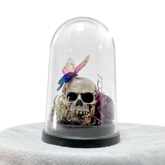 Skull with Butterfly and Burgundy Rose Bell Jar