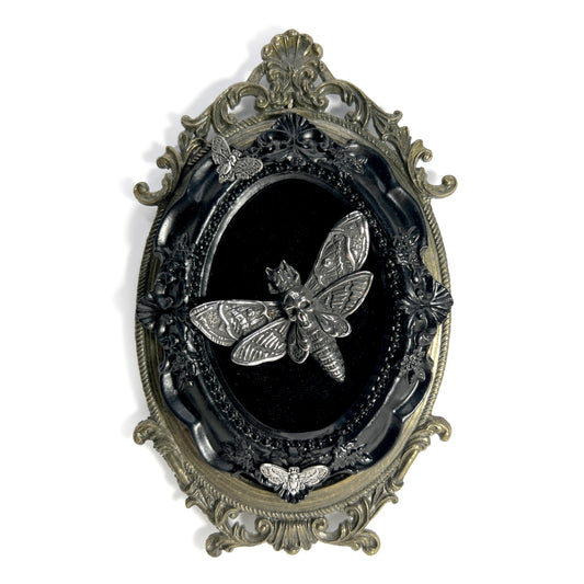 Large Silver Death Head Moth on Black Velvet Antique Framed Home Deco