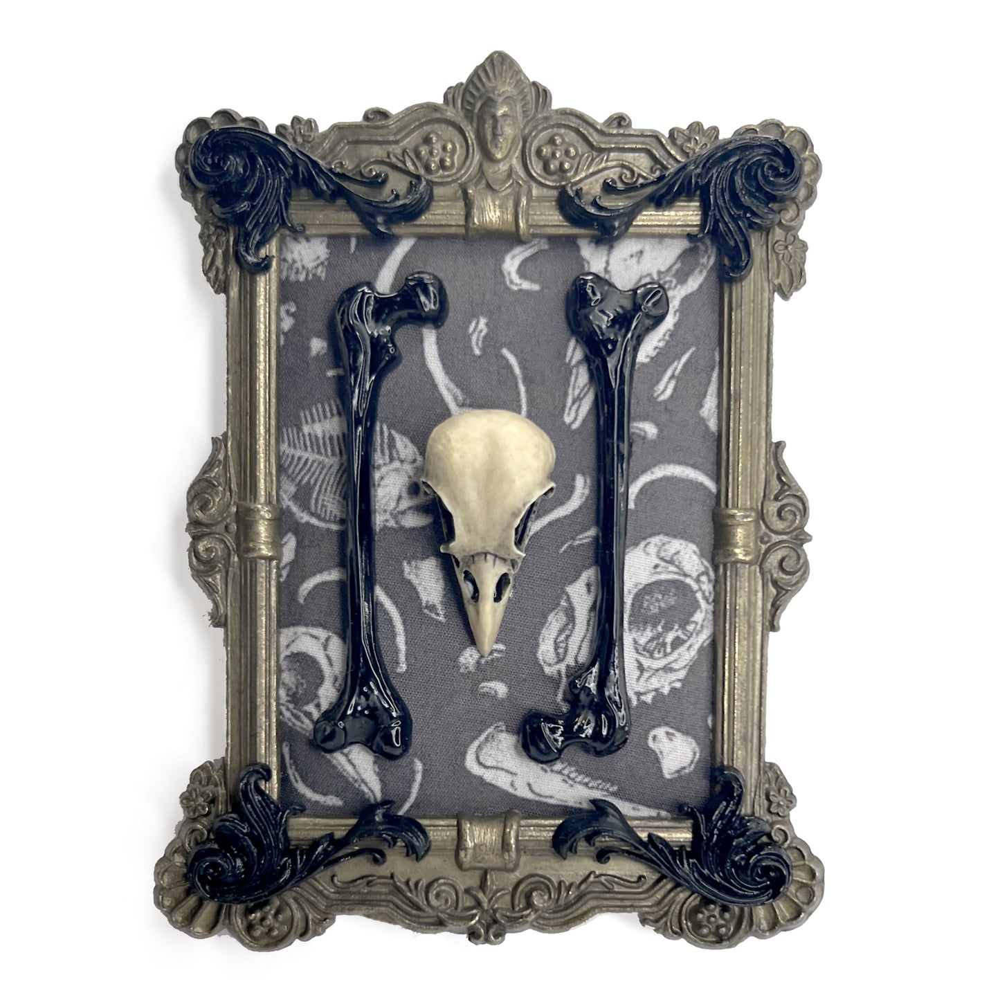 Resin Bird Skull and Bones Antique Framed Gothic Home Deco