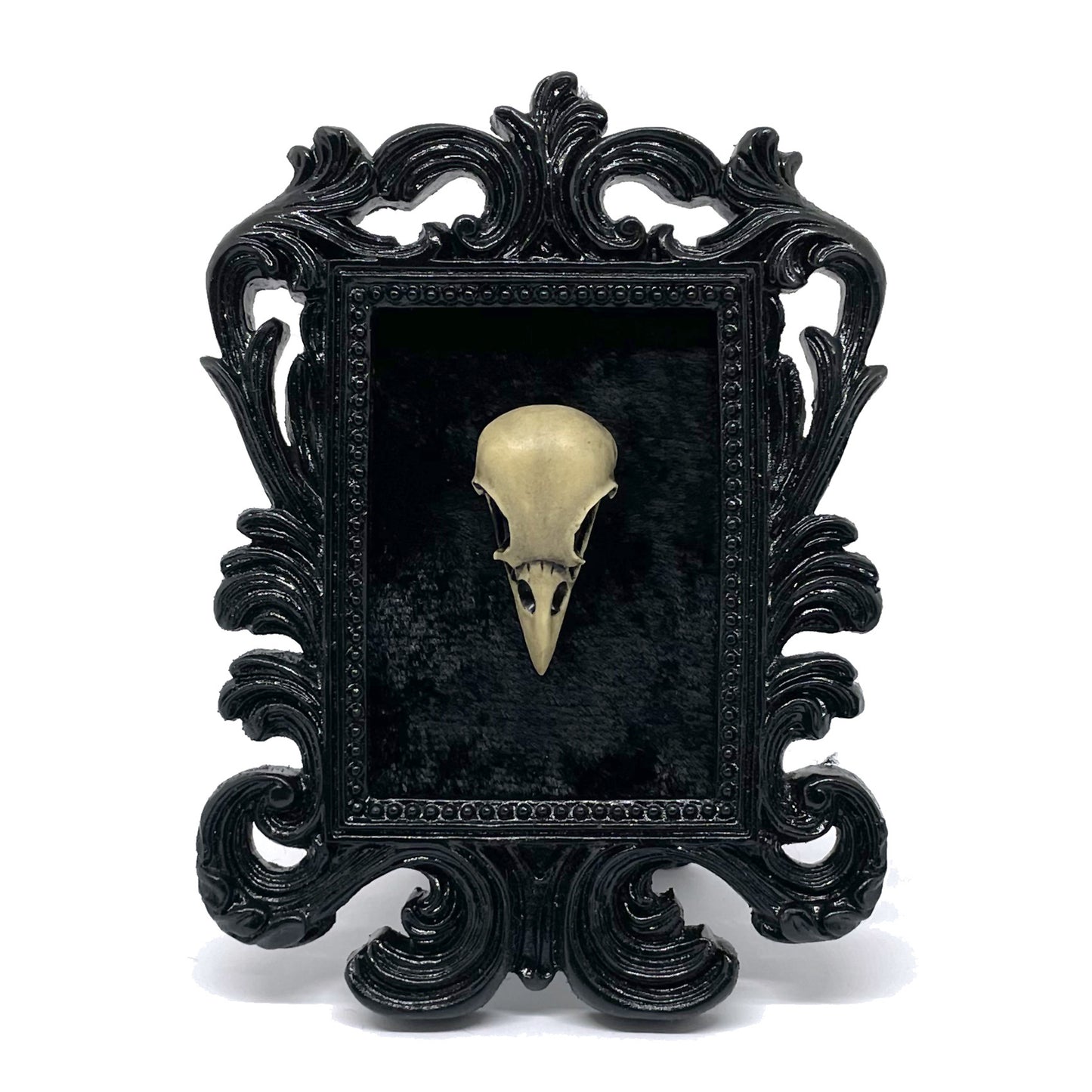 Small Black Resin Square Frame with Resin Bird Skull on Black Velvet Gothic Home Deco