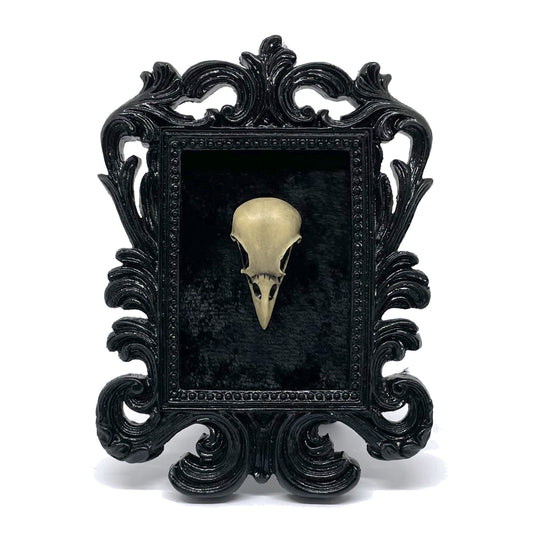 Small Black Resin Square Frame with Resin Bird Skull on Black Velvet Gothic Home Deco