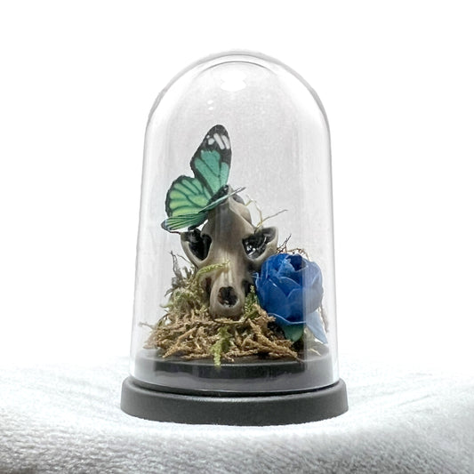 Wolf Skull and Butterfly Bell Jar