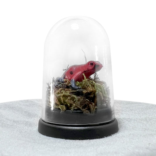 Tiny Red Frog Bell Jar